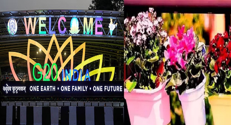 G-20 Summit UPDATE: 6.75 lakh flower pots will decorate the streets of Delhi