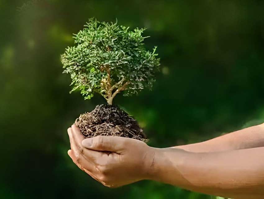 Green Development Pact : History of good climate will be written on Indian soil