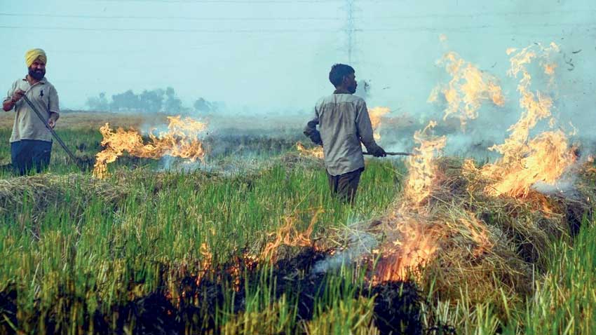 Parali burning : A great boon to incompetent CM of Delhi