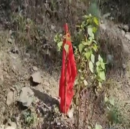 Uttarkashi: Location for vertical drilling identified to evacuate 41 trapped labourers