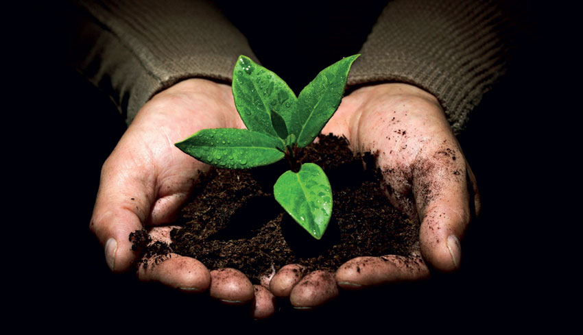 We have to focus on restoration, not modification