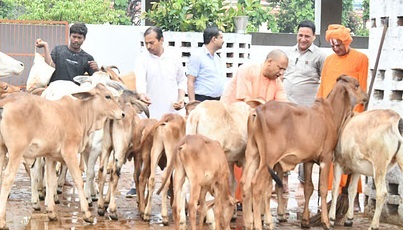 Leaving aside election mathematics, CM Yogi remained engrossed in Guru darshan, cow service and child love