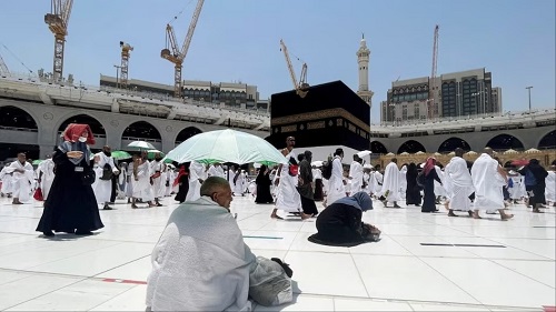 Tragedy Strikes: 550 Pilgrims Perish During Hajj Due to Extreme Heat