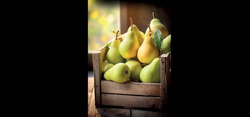 Eating pear will keep diseases away