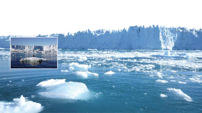 Melting Ice of South Pole and Its Impact on Earth's Rotation