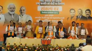 BJP releases manifesto for J&K assembly elections