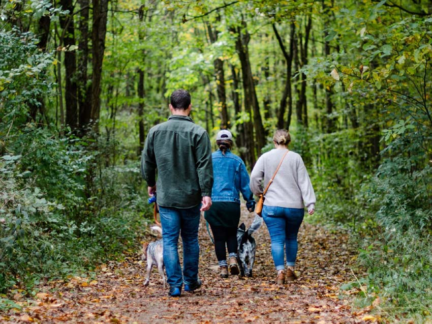 Nature's Prescription : The Urban Forest and Mental Health