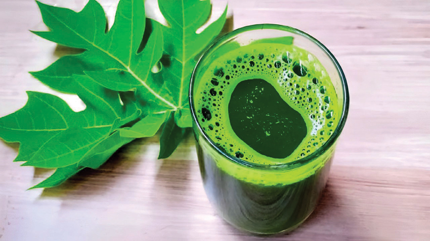 Medicinal properties of papaya leaves