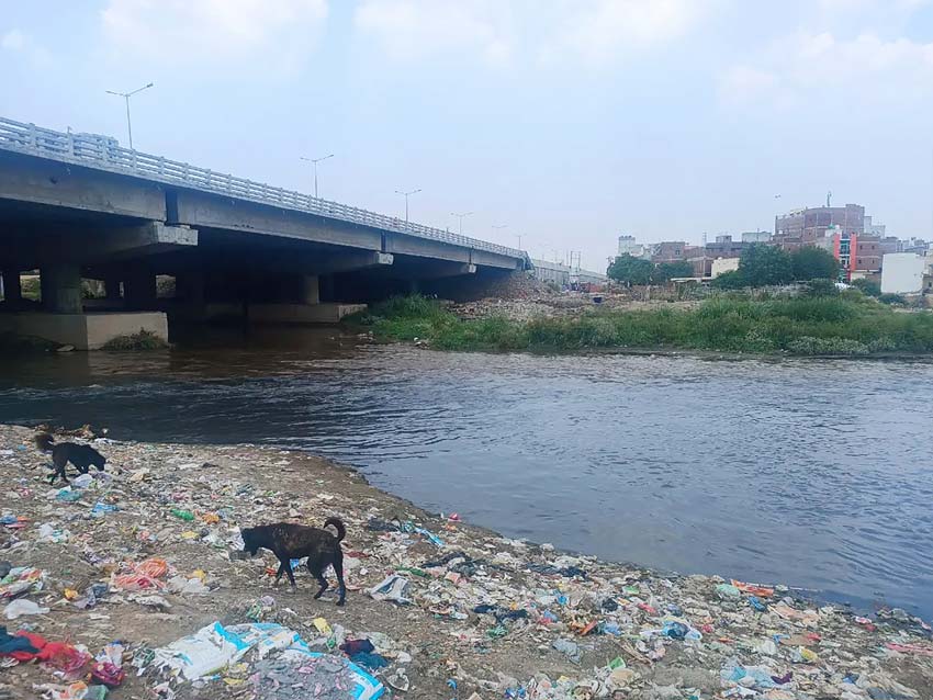 Sobbing Hindon: Collective efforts necessary to clean Hindon river