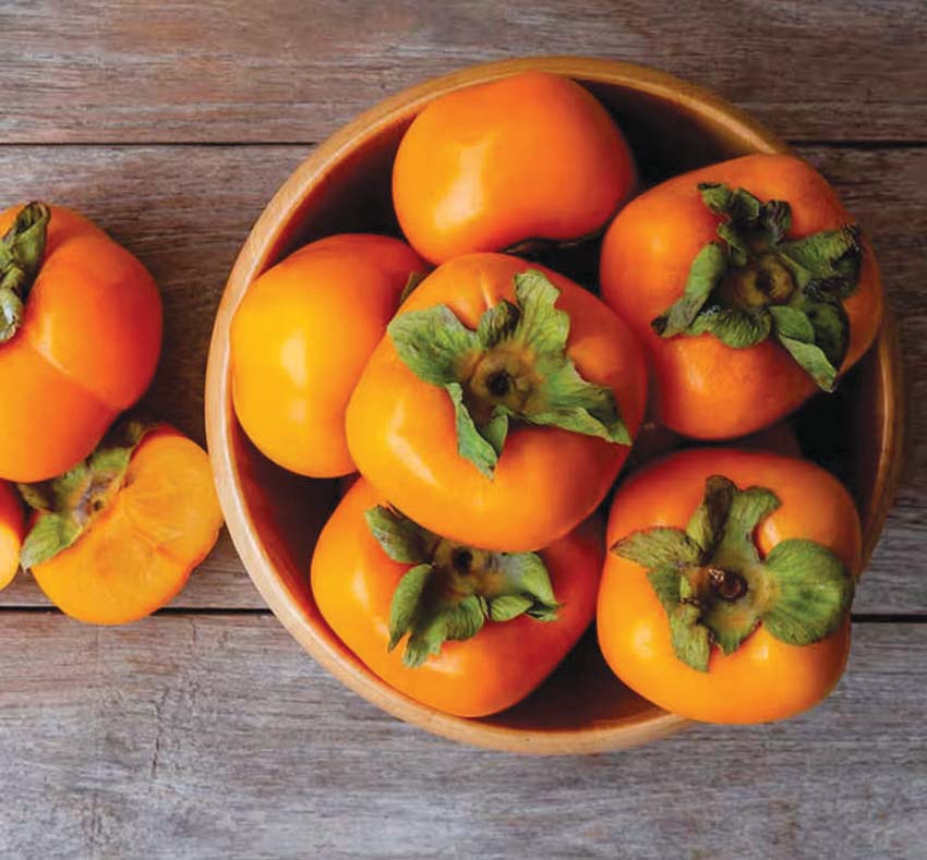 Ramphal keeps hair and skin healthy in winter