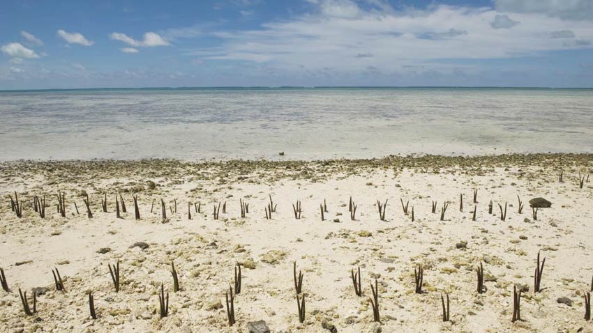 Climate Change Vs Agricultural Development