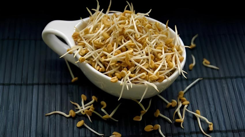 Good Health Superfood Sprouted Fenugreek