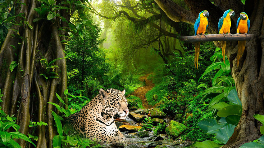 The New Age Irony : The chaos of pollution are now muting the symphony of Nature