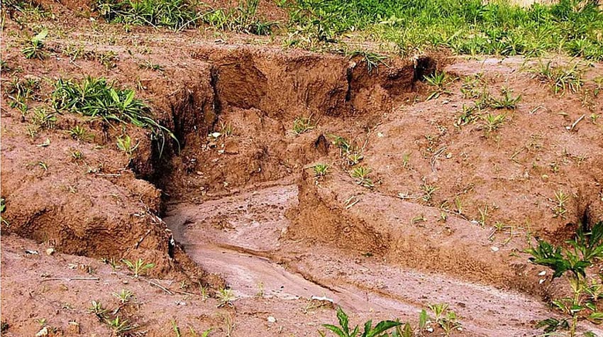 Halting land degradation in India