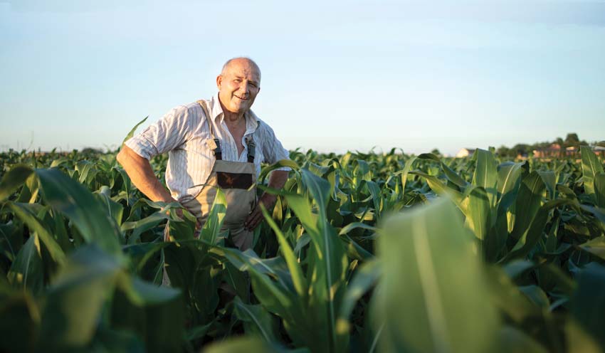 No Till Farming : Cheap, Sustainable and Eco-friendly method of farming