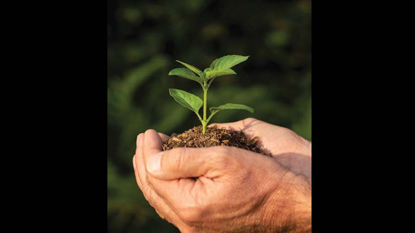 Restoring India’s Disrupted Seasonal Cycle : Environmental Solutions