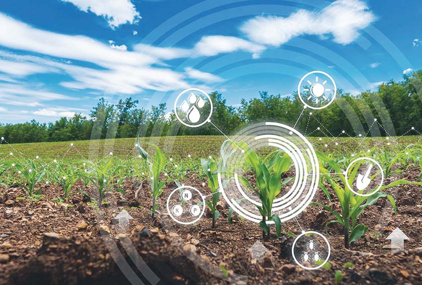 From Scarcity to Self-Reliance : Transforming Agriculture in Odisha