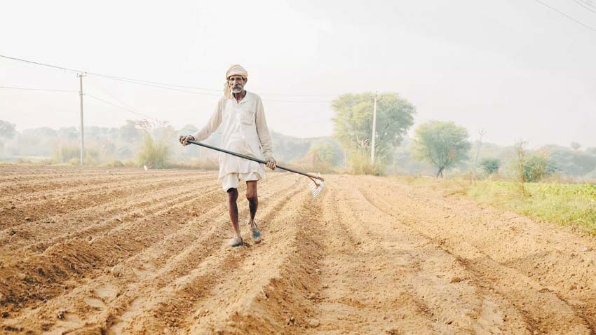 India’s Agricultural Crisis : From Wildlife Conflicts to Sustainable Farming Solutions