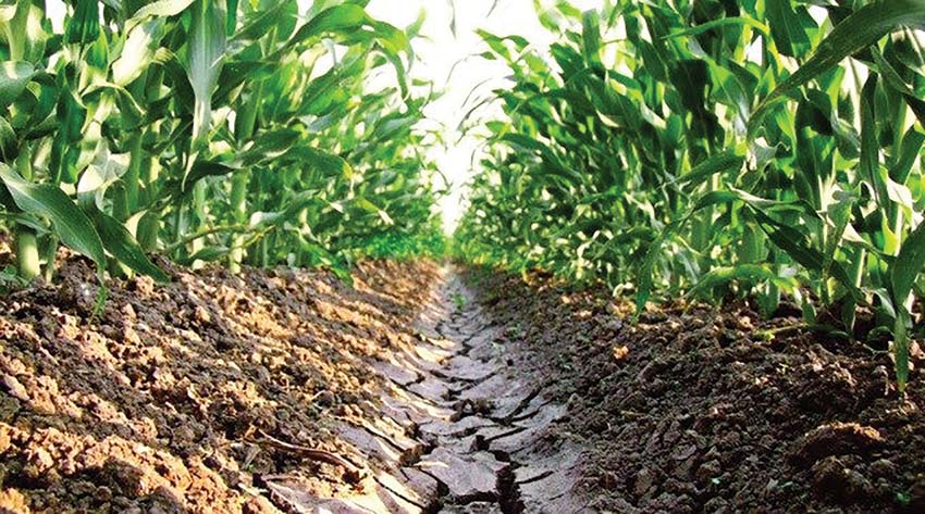 Nourishing the Soil, Nourishing the Nation