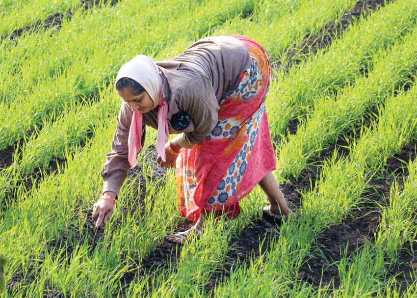 Call for Indian agriculture, cow protection and nature conservation