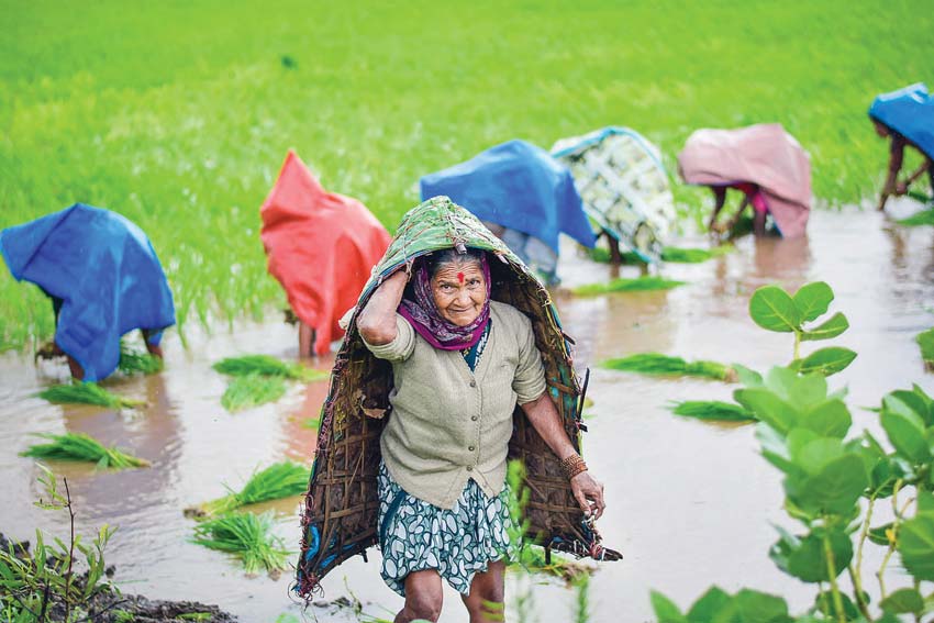 This is how farmers can deal with the ever-increasing uncertainty of monsoon