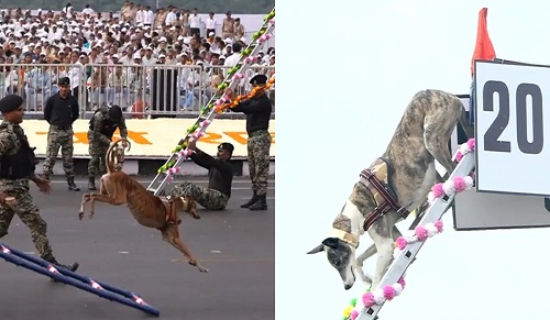 Paws of Pride: Indigenous Indian Dog Breeds Steal the Show at Statue of Unity Celebrations
