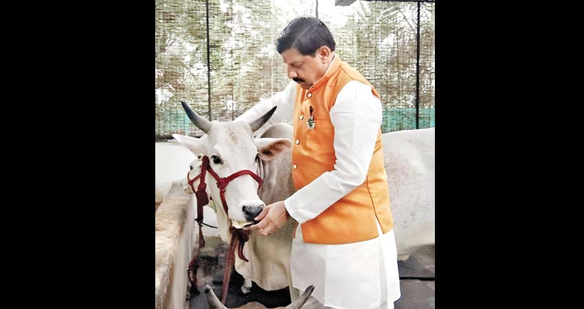Cow, Govind and Cowshed: From Culture to Prosperity Madhya Pradesh's 'Gau Katha'