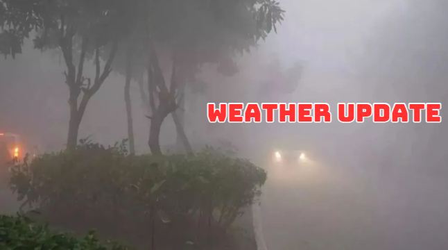 Several states in North India are experiencing a severe cold wave; the meteorological department has issued an orange alert