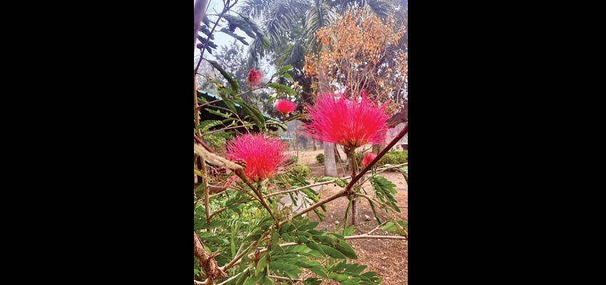 Make a resolution to stay stress-free in the new year