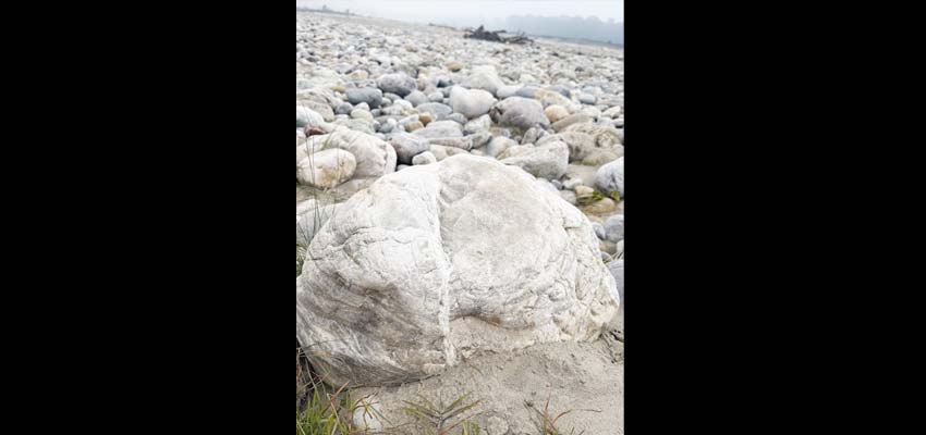 Resetting your mind: How to create a stress-free life at the start of the new year