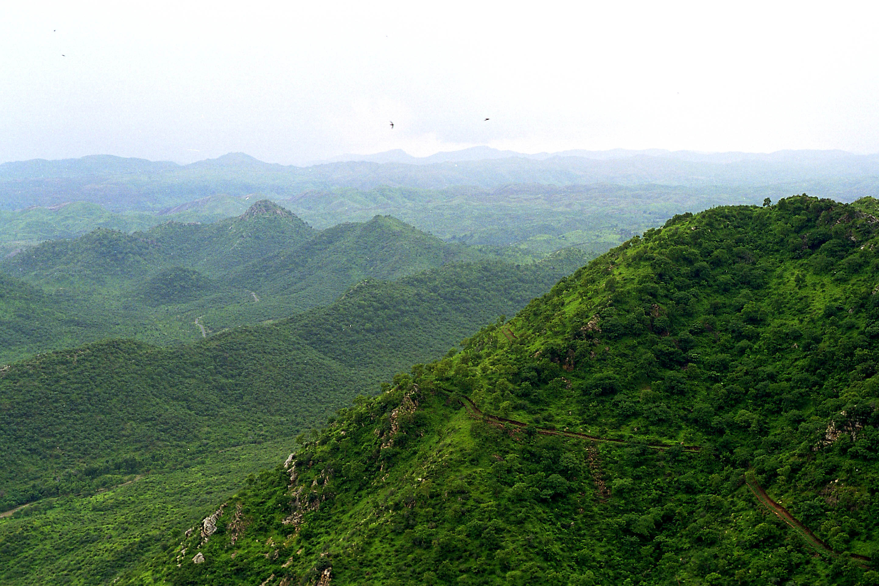 The Decisive Battle to Save  Aravalli Range