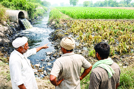 Buddha Nala: Water crisis running from Punjab to Rajasthan