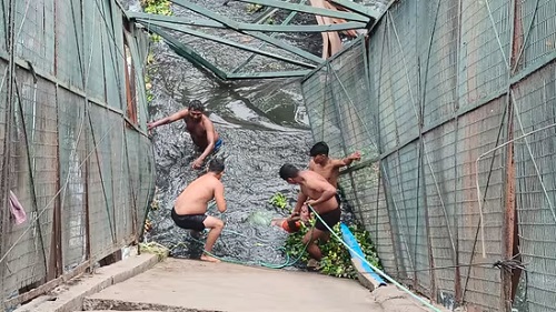Footbridge Collapse in Delhi’s Rupnagar Triggers Rescue Operation; Woman Dies