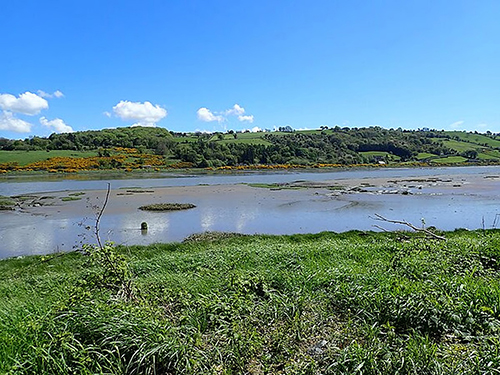 Why are Kerala's unique natural gift, the 'mudbanks', in danger?