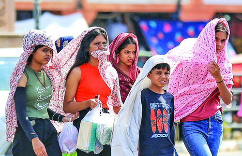 The Fevered Republic