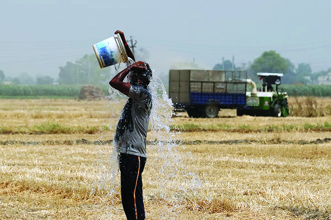 Farming crisis due to heat