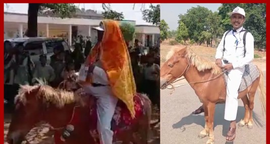 Munna Prasad, a teacher from Garhwa, is carrying out census work by riding a horse to save petrol in the scorching heat. 