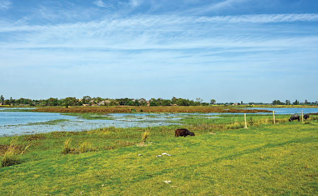Why is Karela Lake, capable of providing water to half of Lucknow, falling into a plight?
