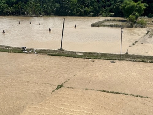 Assam Flood Crisis Deepens: Death Toll Rises to 41, Over 6.4 Lakh People Affected as Heavy Rain Continues
