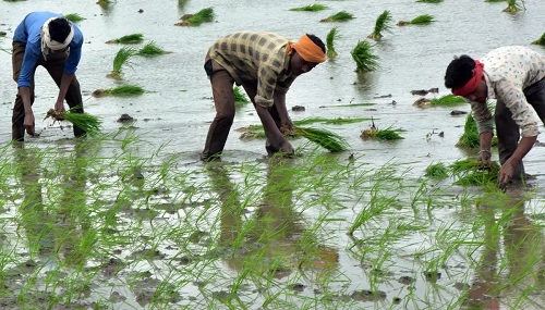 Cabinet Extends PM-KISAN Scheme Till 2030-31 with ₹3.15 Lakh Crore Outlay