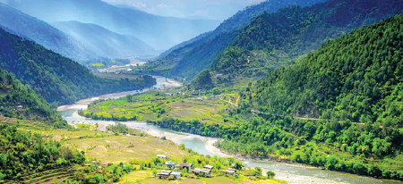 Nature Is Medicine Why Green Spaces Must Become India's Next Public Health Priority