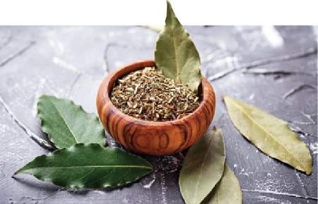 Bay Leaf: A Treasure Trove of Health Benefits